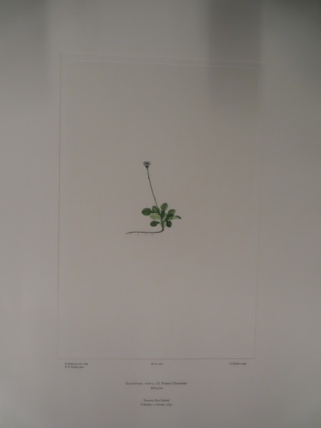 FDA-E.2916_23_17-2016 image FDA-E.2916_23_17-2016