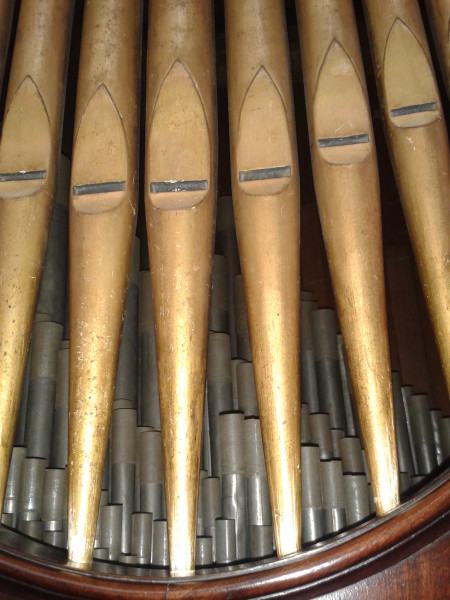 FDA-A.79-2010-G image FDA-A.79-2010-G