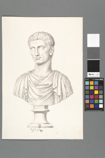 ECL-Bn.1_49-2013 image ECL-Bn.1_49-2013