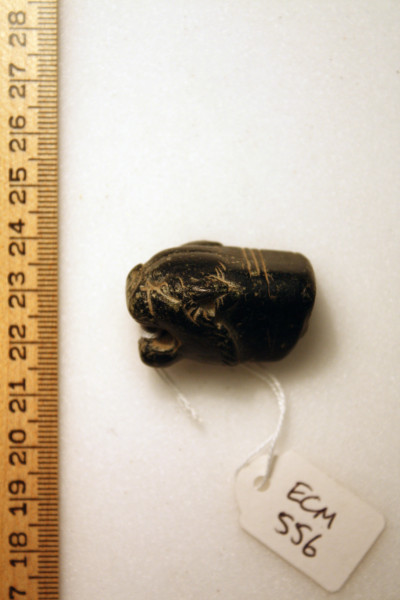 ECM.556-2010-D image ECM.556-2010-D