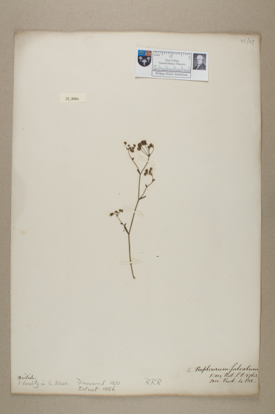 NHM_HH_22.1-2010 image NHM_HH_22.1-2010