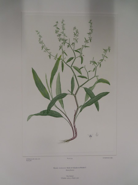 FDA-E.2916_25_23-2016-A image FDA-E.2916_25_23-2016-A