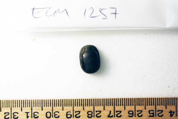 ECM.1257-2010-A image ECM.1257-2010-A