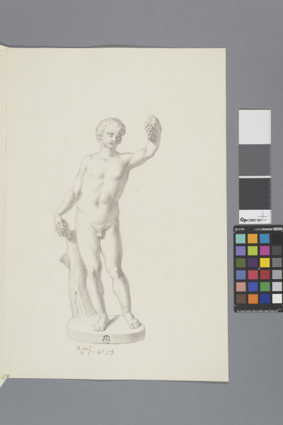 ECL-Bm.8_113-2013 image ECL-Bm.8_113-2013