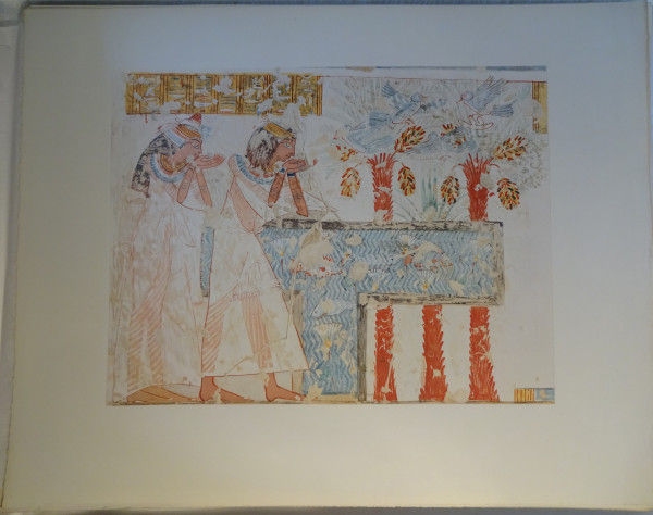 image FDA-E.3055_71-2018