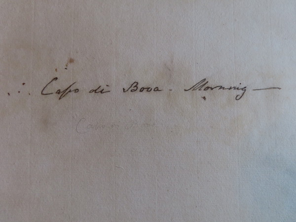 FDA-D.1688-2023-N image FDA-D.1688-2023-N