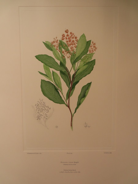 image FDA-E.2916_28_13-2016