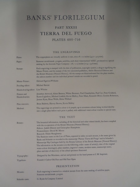 FDA-E.2916_33_2-2016 image FDA-E.2916_33_2-2016