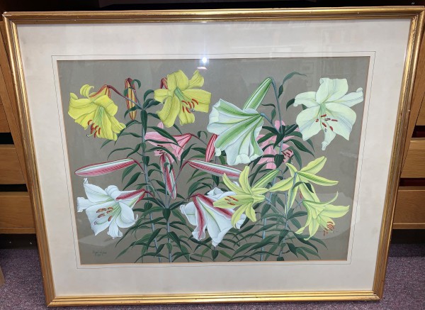 FDA-D.1617-2020 image FDA-D.1617-2020