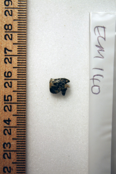 ECM.140-2010-B image ECM.140-2010-B