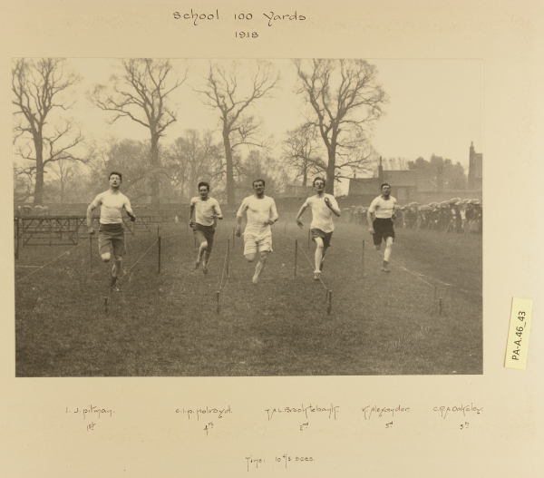 PA-A.46_43-2013 image PA-A.46_43-2013