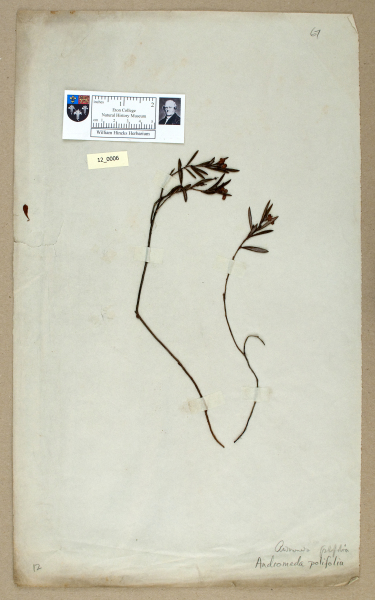 NHM_HH_12.6-2010 image NHM_HH_12.6-2010