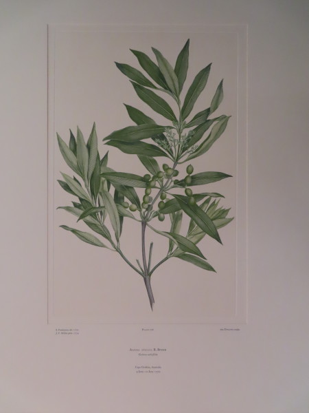 image FDA-E.2916_10_7-2016-A