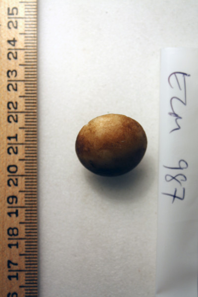 ECM.987-2010-A image ECM.987-2010-A