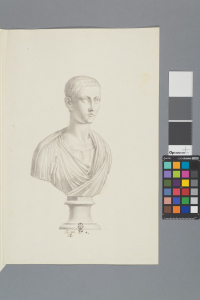 ECL-Bm.12_5-2013 image ECL-Bm.12_5-2013