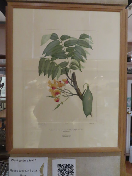 FDA-E.2916_4_20-2016 image FDA-E.2916_4_20-2016