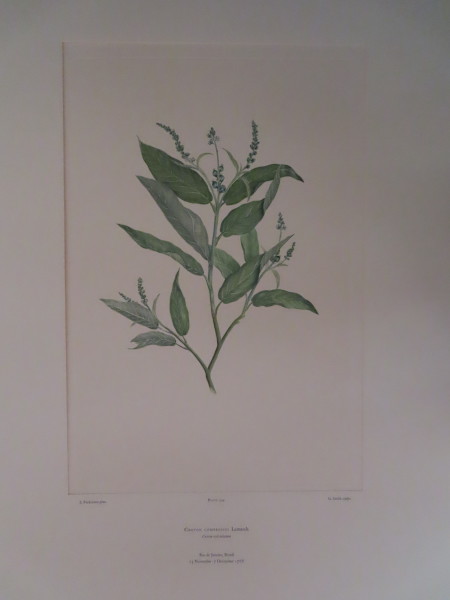 image FDA-E.2916_16_20-2016-A