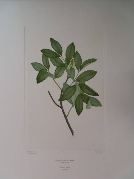 image FDA-E.2916_2_21-2016-A