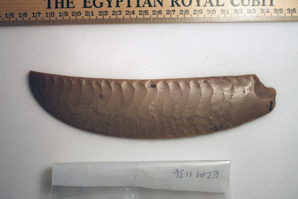 ECM.1136-2010-A image ECM.1136-2010-A