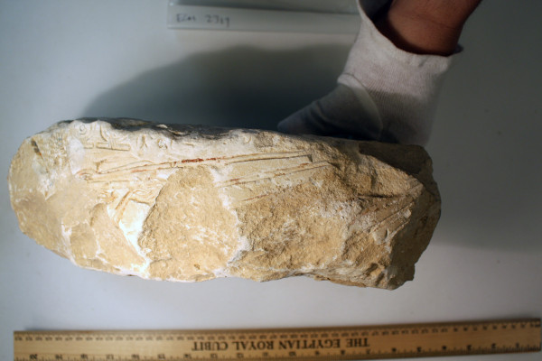 ECM.2319-2017-C image ECM.2319-2017-C