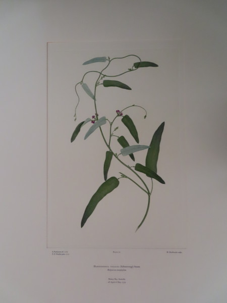 image FDA-E.2916_4_8-2016-A