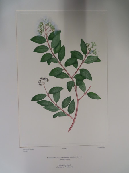 image FDA-E.2916_21_21-2016-A