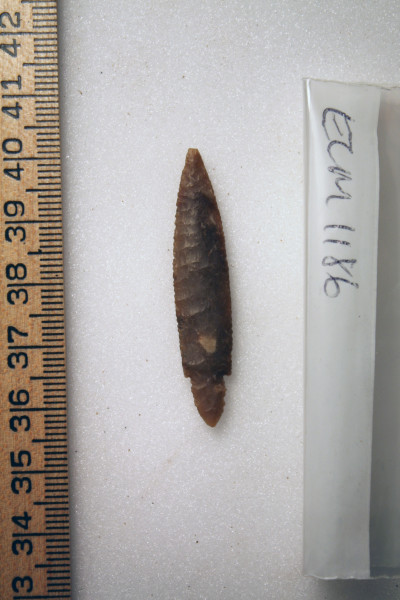 ECM.1186-2010-A image ECM.1186-2010-A