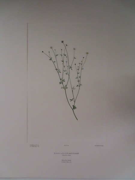 image FDA-E.2916_7_10-2016