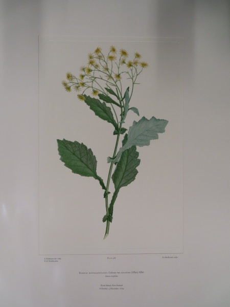 FDA-E.2916_23_22-2016-A image FDA-E.2916_23_22-2016-A