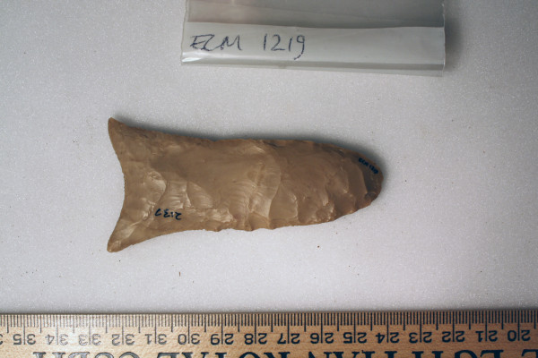 ECM.1219-2010-B image ECM.1219-2010-B