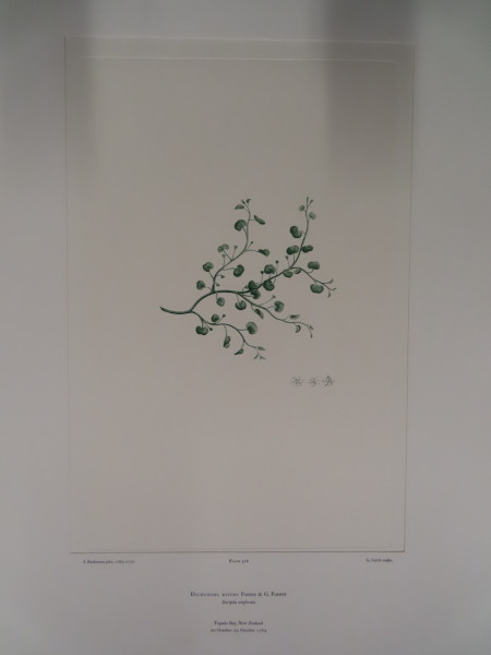 image FDA-E.2916_25_4-2016