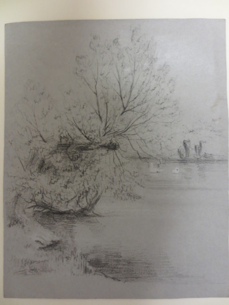 FDA-D.1413-2015 image FDA-D.1413-2015