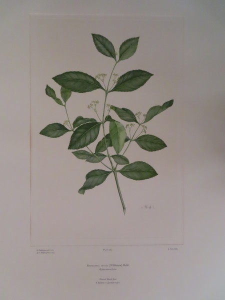 FDA-E.2916_17_6-2016 image FDA-E.2916_17_6-2016