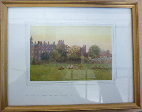 FDA-E.1042-2013 image FDA-E.1042-2013