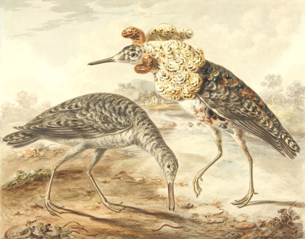 FDA-D.428-2010 image FDA-D.428-2010