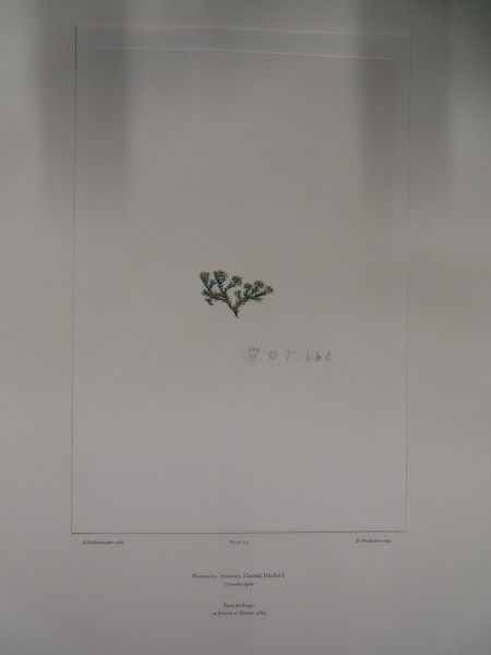 FDA-E.2916_33_24-2016 image FDA-E.2916_33_24-2016