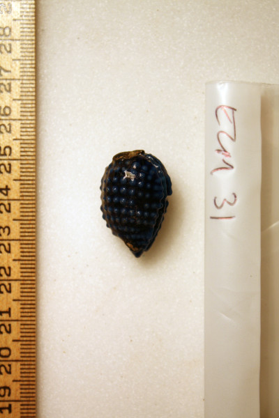 ECM.31-2010-D image ECM.31-2010-D