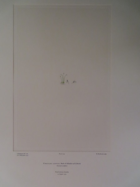 image FDA-E.2916_11_11-2016