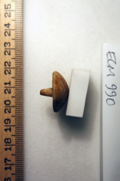 ECM.990-2010-C image ECM.990-2010-C