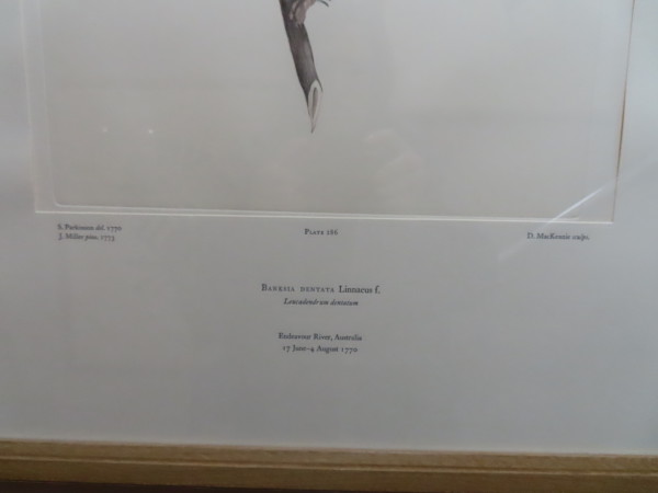 FDA-E.2916_13_19-2016-B image FDA-E.2916_13_19-2016-B