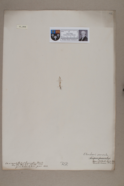 NHM_HH_32.18-2010 image NHM_HH_32.18-2010