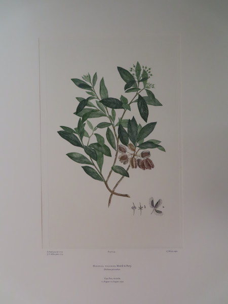 FDA-E.2916_2_26-2016-A image FDA-E.2916_2_26-2016-A