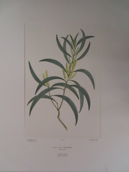 image FDA-E.2916_5_4-2016