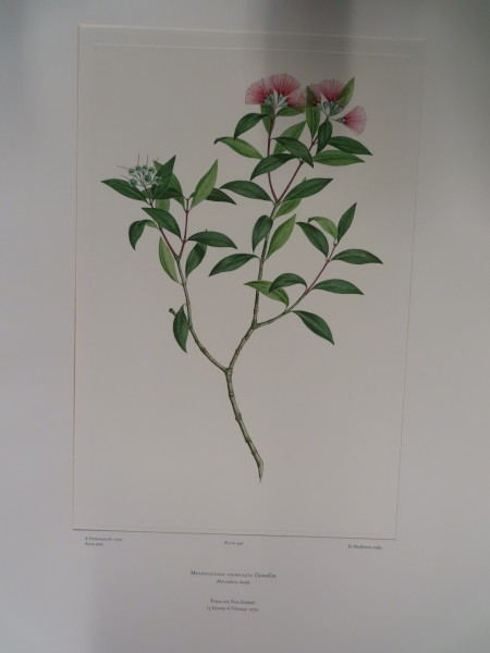 FDA-E.2916_21_26-2016-A image FDA-E.2916_21_26-2016-A