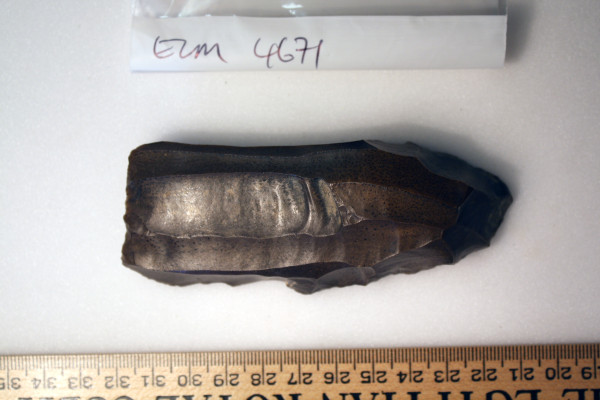 ECM.4671-2017-A image ECM.4671-2017-A