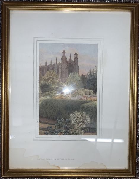 FDA-E.3173_1-2020 image FDA-E.3173_1-2020