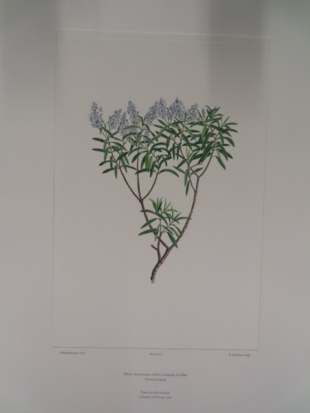 FDA-E.2916_25_9-2016 image FDA-E.2916_25_9-2016