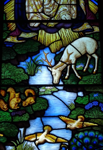 FDA-A.492_1_1b-2017-B image FDA-A.492_1_1b-2017-B