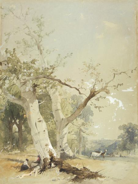 FDA-D.423-2010 image FDA-D.423-2010