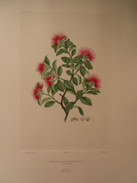 image FDA-E.2916_28_23-2016